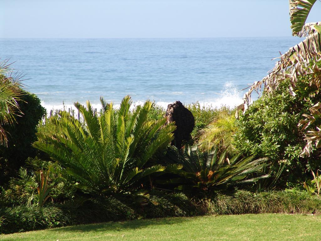 Hotel Diaz 15 House On The Bay Jeffreys Bay Exterior foto